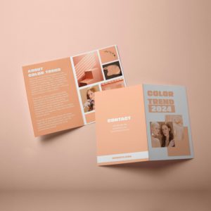 Bifold Brochure (A5)