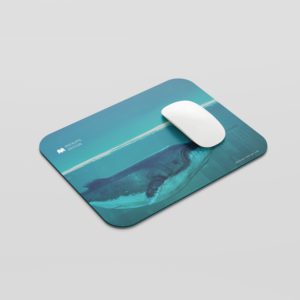 Mouse Pads
